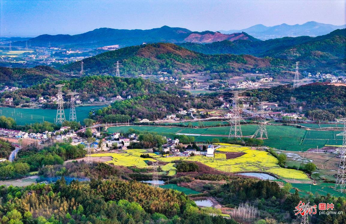 Morning countryside scenery in E China's Anhui