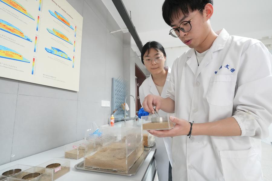 Technologies advance archaeology efforts at Liangzhu site