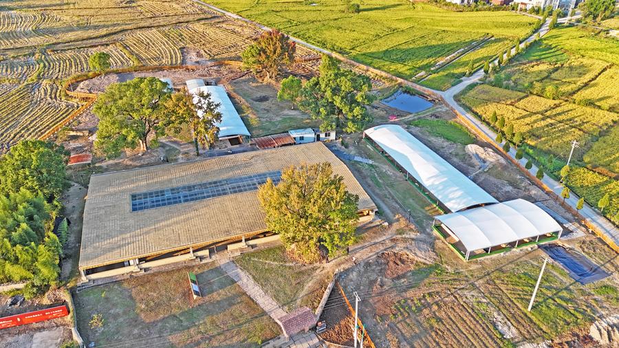 Top Chinese archaeological discoveries for 2024 unveiled