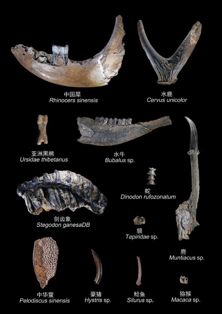 Top Chinese archaeological discoveries for 2024 unveiled