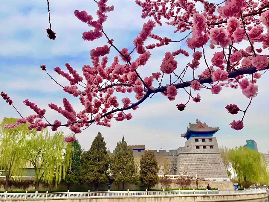 Beijing Women and Children Development Demonstration Base: The Watchtower Library