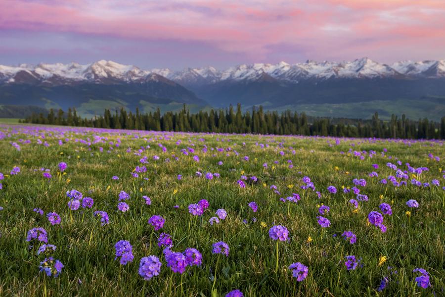 Xinjiang reports over 44 million tourist visits in Q1