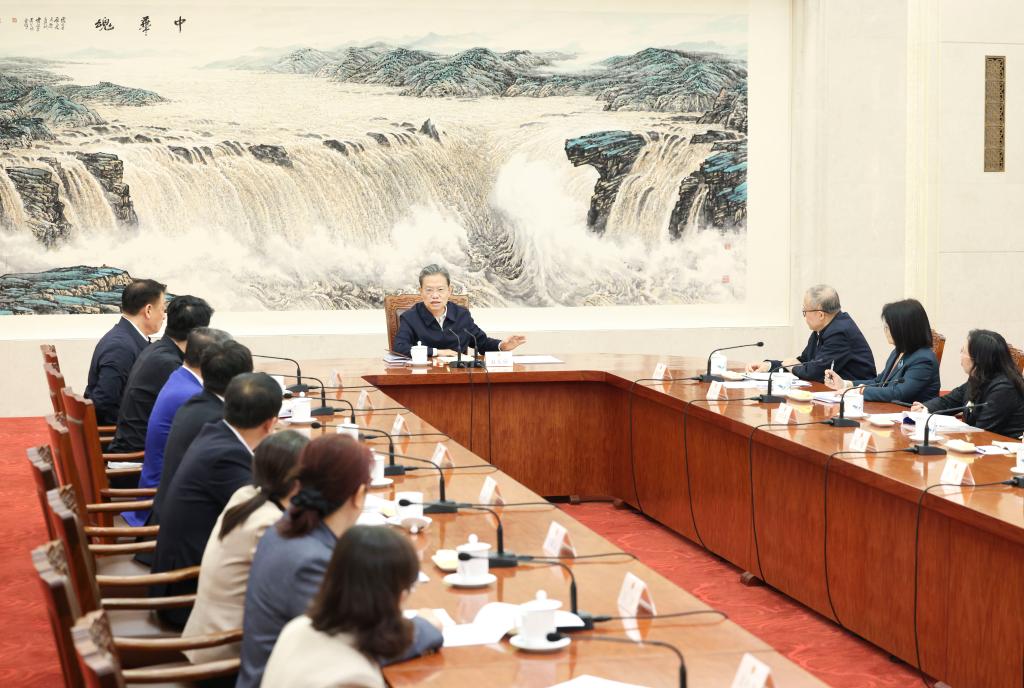 China's top legislator emphasizes implementation of amended lawmakers law