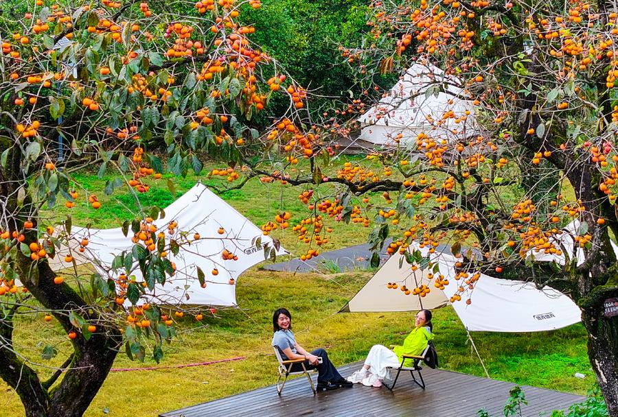 Camping boom ignites outdoor industry growth across China