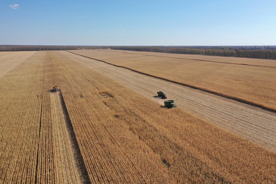 China concludes peak autumn grain purchase season