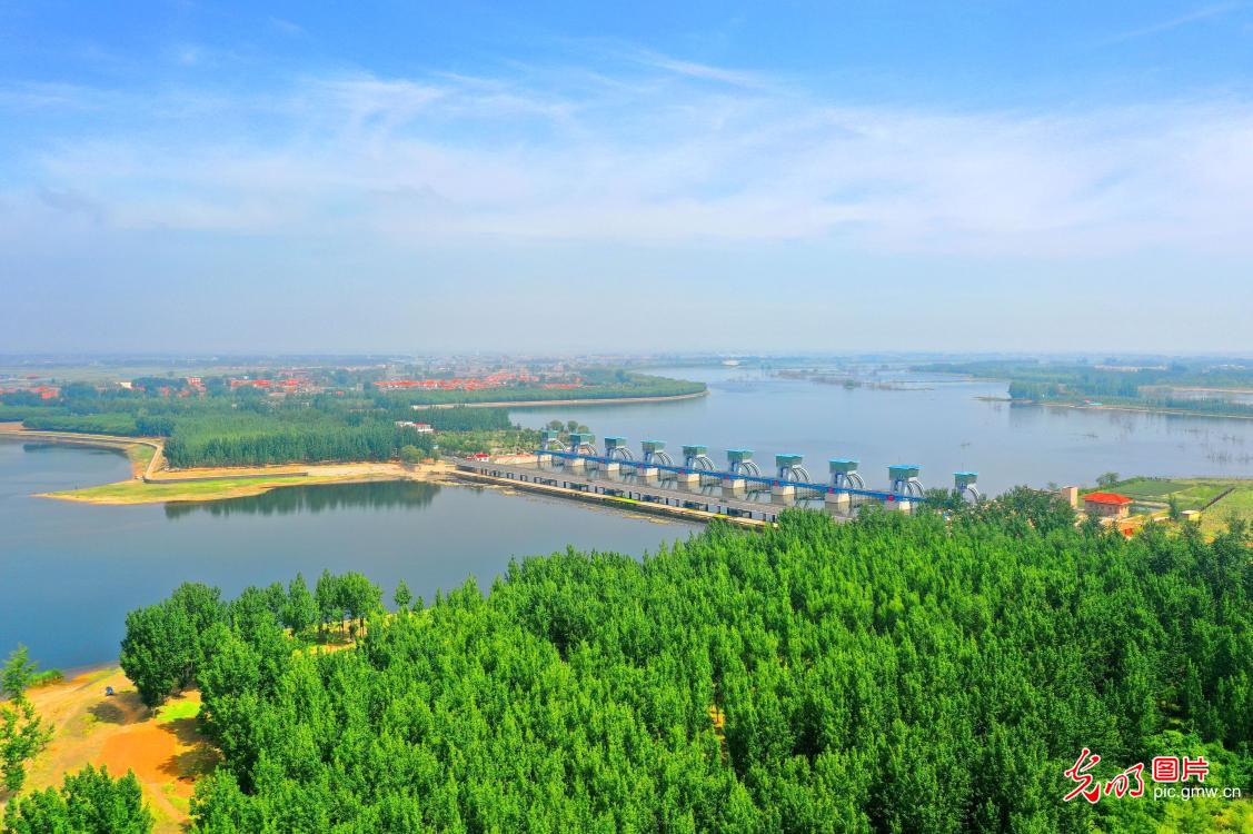Early summer scenery of Dagu River in E China's Shandong