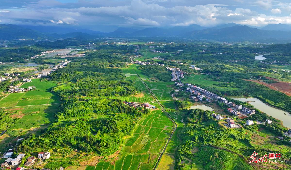 Summer palette unfolds in rural Hunan