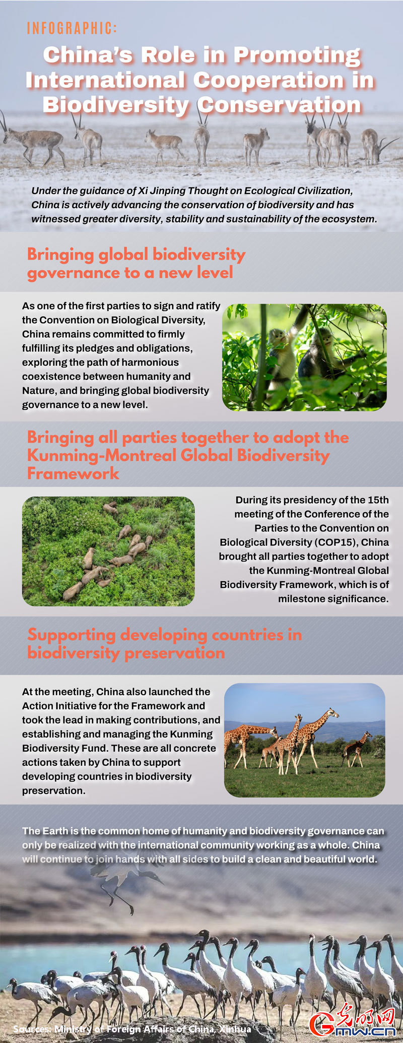 Infographic: China's role in promoting international cooperation in biodiversity conservation