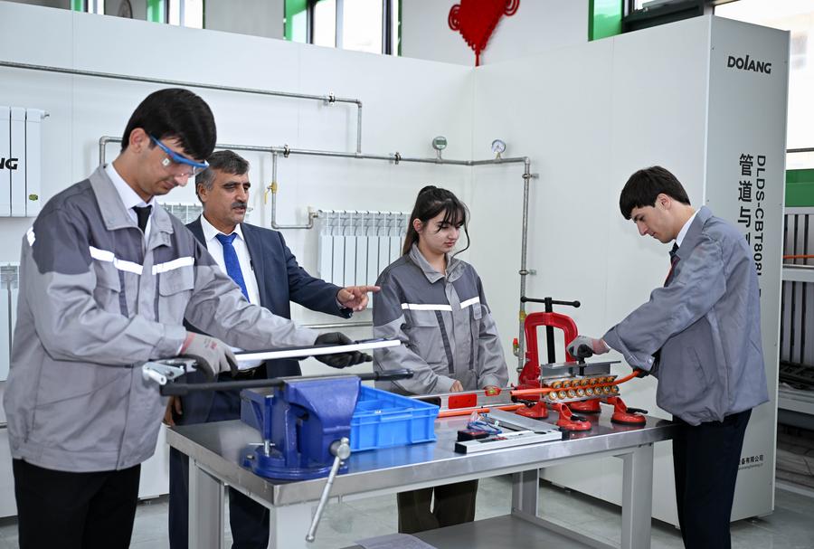 From camel trails to cargo lanes: Xi's vision for a China-Central Asia future