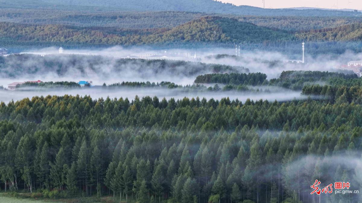 Morning mist in Saihaiban, N China's Hebei