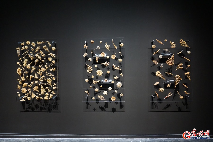 Exhibition reimagines planetary life through machines and microbes