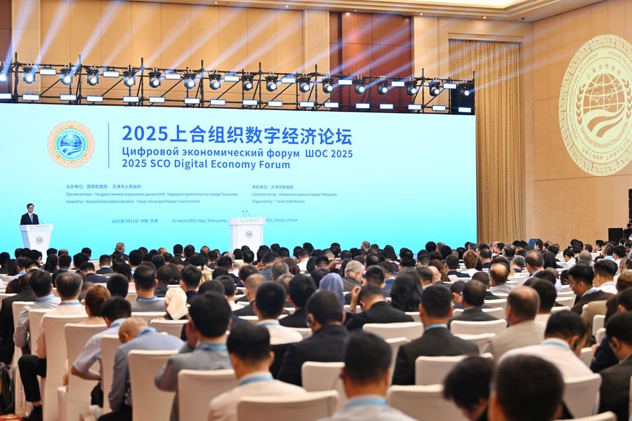 Shanghai Spirit resonates across China-proposed global initiatives, says Kyrgyz expert