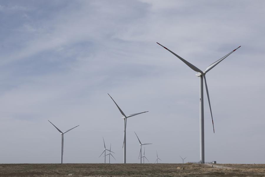 Feature: China, SCO partners join hands for more sustainable future