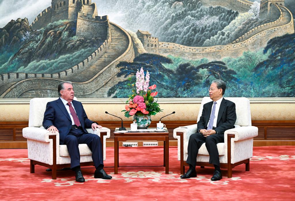 China's top legislator meets Tajik president