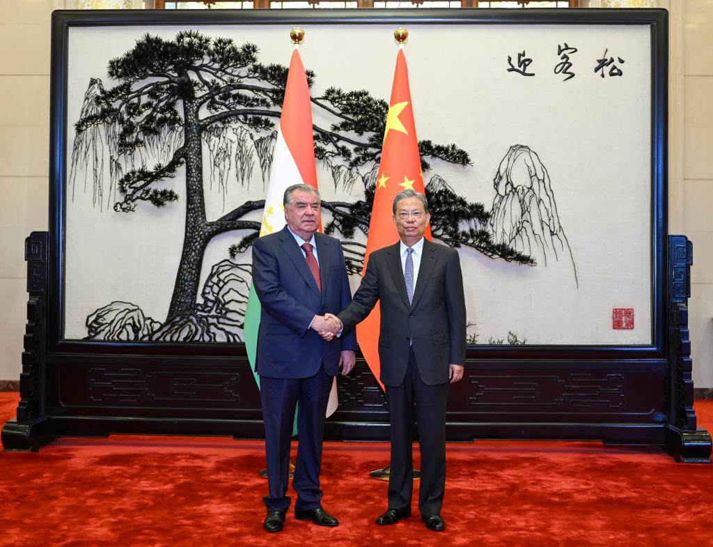 China's top legislator meets Tajik president