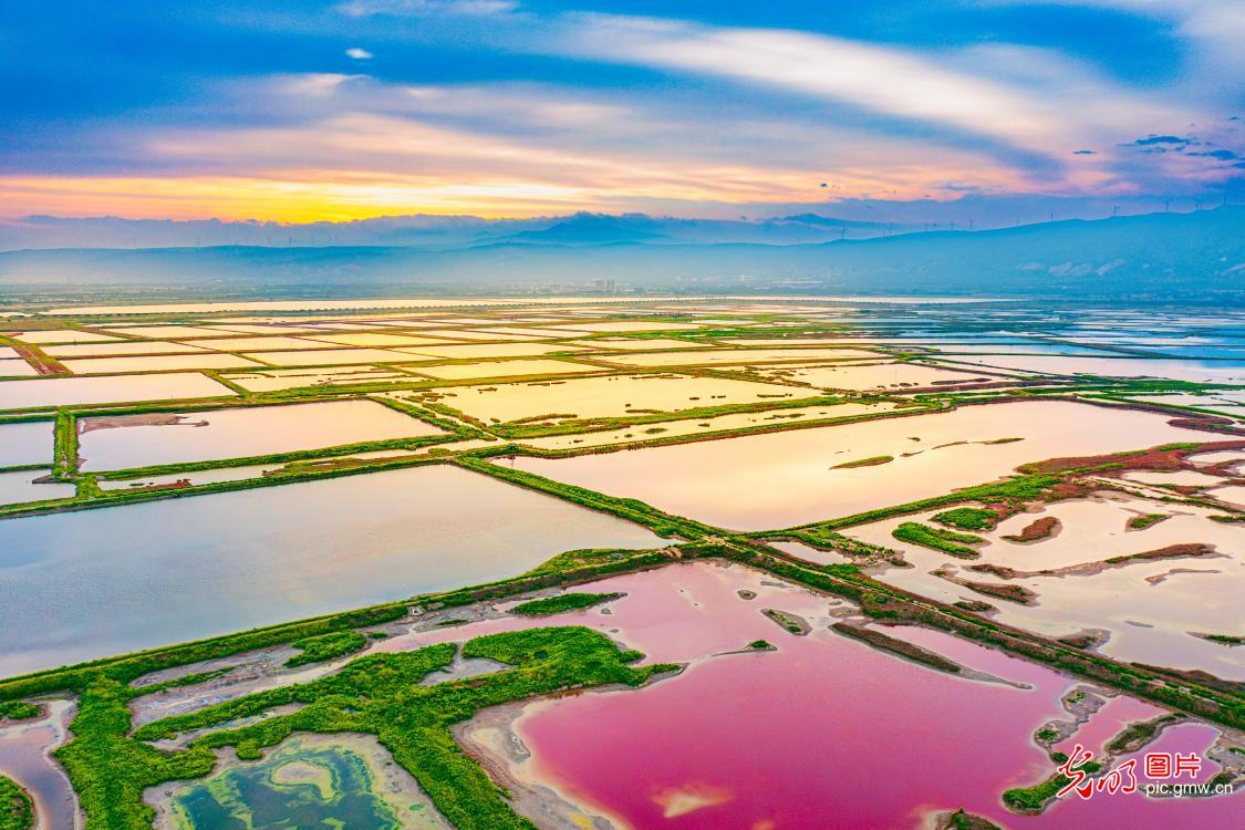 Yuncheng Salt Lake in Shanxi shines as vibrant color palette Yuncheng Salt Lake in Shanxi shines as vibrant color palette