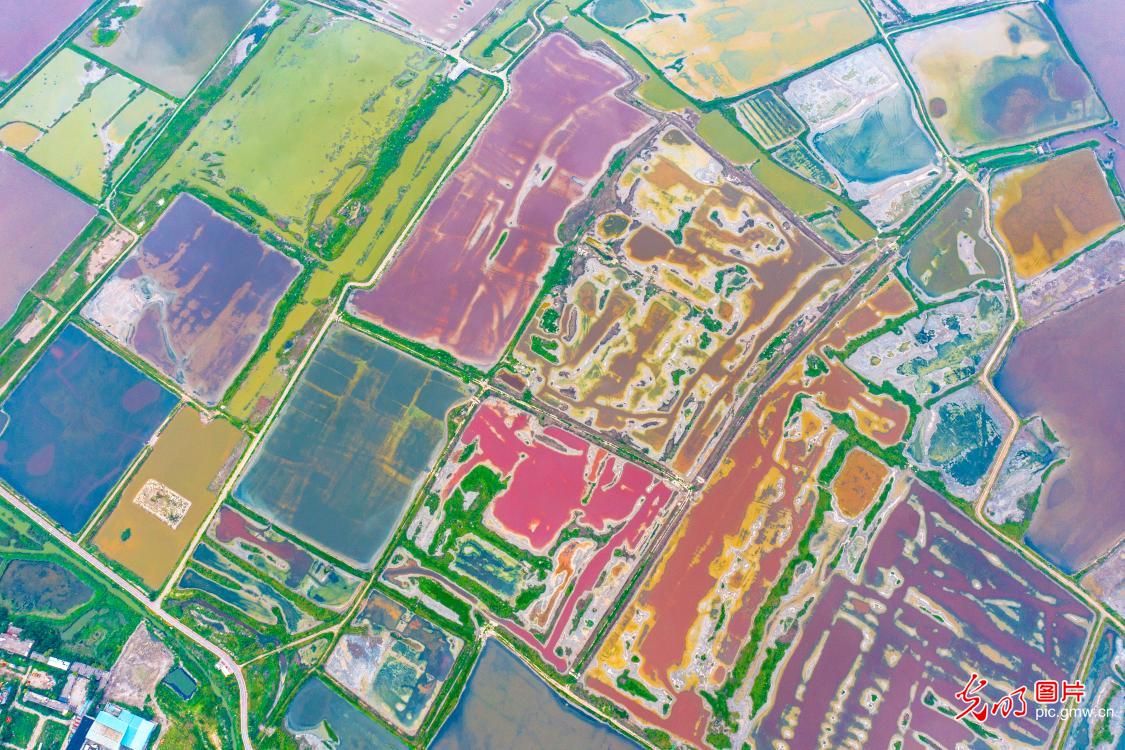 Yuncheng Salt Lake in Shanxi shines as vibrant color palette Yuncheng Salt Lake in Shanxi shines as vibrant color palette