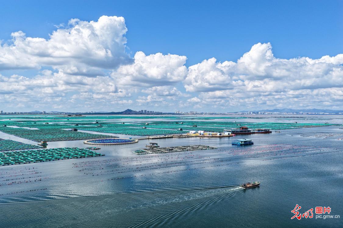 Fishermen head out to sea at national marine ranch in E China's Shandong Fishermen head out to sea at national marine ranch in E China's Shandong