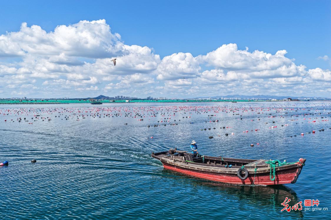 Fishermen head out to sea at national marine ranch in E China's Shandong Fishermen head out to sea at national marine ranch in E China's Shandong