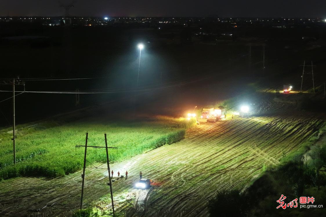 Golden autumn harvest sweeps across China's fields