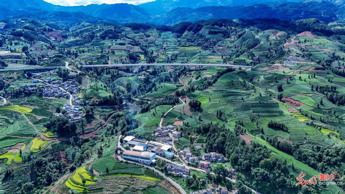 Expressway weaves through tea mountains and villages in SW China's Guizhou Expressway weaves through tea mountains and villages in SW China's Guizhou