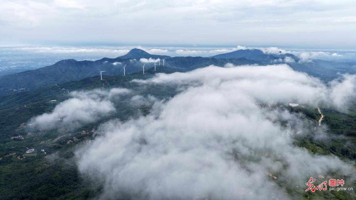 Cloud sea after autumn rain blankets Juci Mountain in central China's Henan