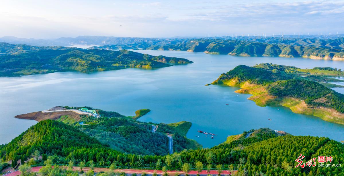 Stunning ecological picture unfolds by the Yellow River in C China's Henan Stunning ecological picture unfolds by the Yellow River in C China's Henan