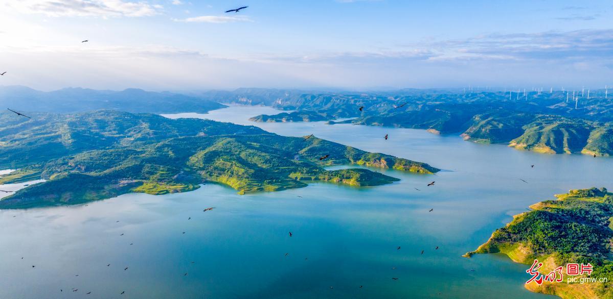 Stunning ecological picture unfolds by the Yellow River in C China's Henan Stunning ecological picture unfolds by the Yellow River in C China's Henan