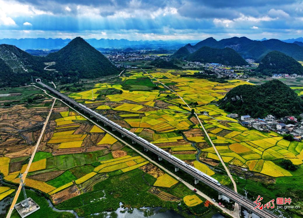 High-speed train cuts through golden harvest High-speed train cuts through golden harvest