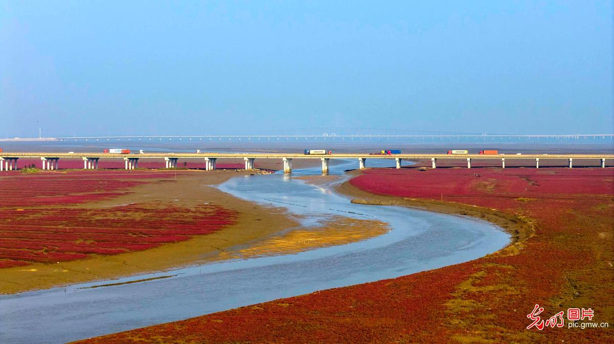 Red beach weaves vibrant ecological scenery