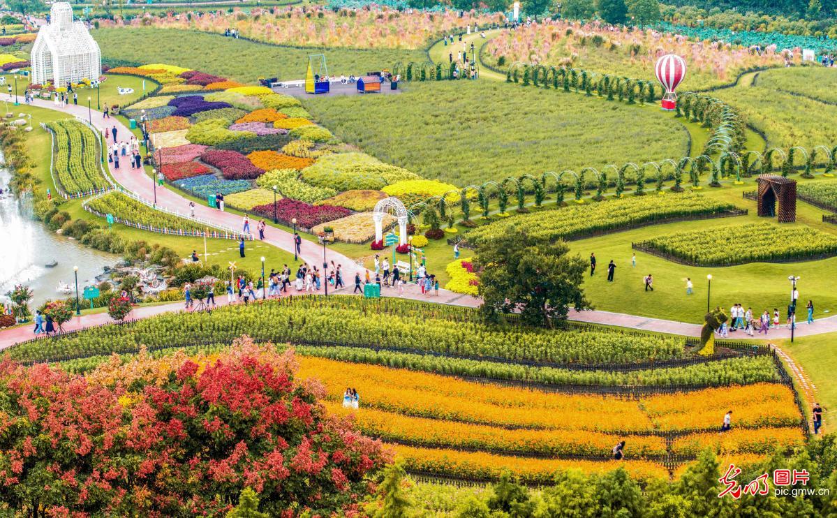 A colorful autumn draw for tourists in E China's Jiangsu A colorful autumn draw for tourists in E China's Jiangsu