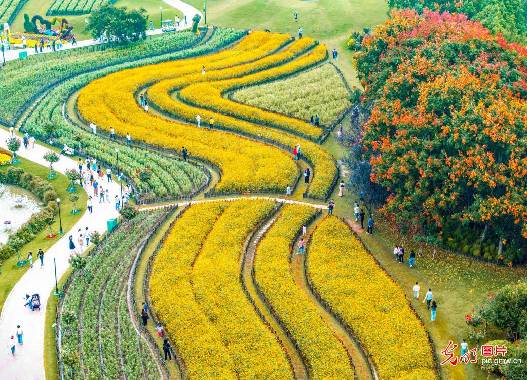 A colorful autumn draw for tourists in E China's Jiangsu A colorful autumn draw for tourists in E China's Jiangsu