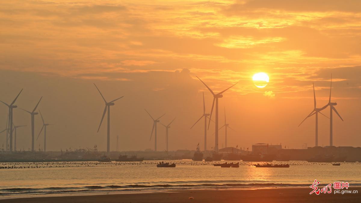 Sunset at coastal wind farm in E China's Shandong