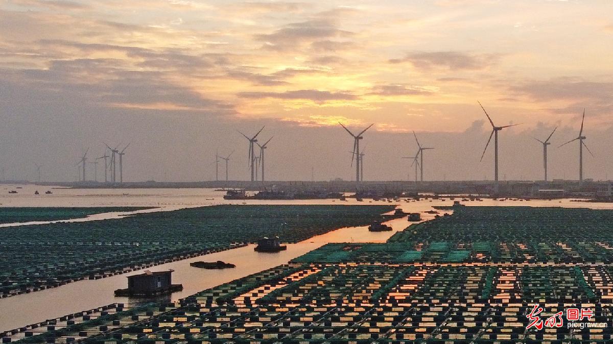 Sunset at coastal wind farm in E China's Shandong