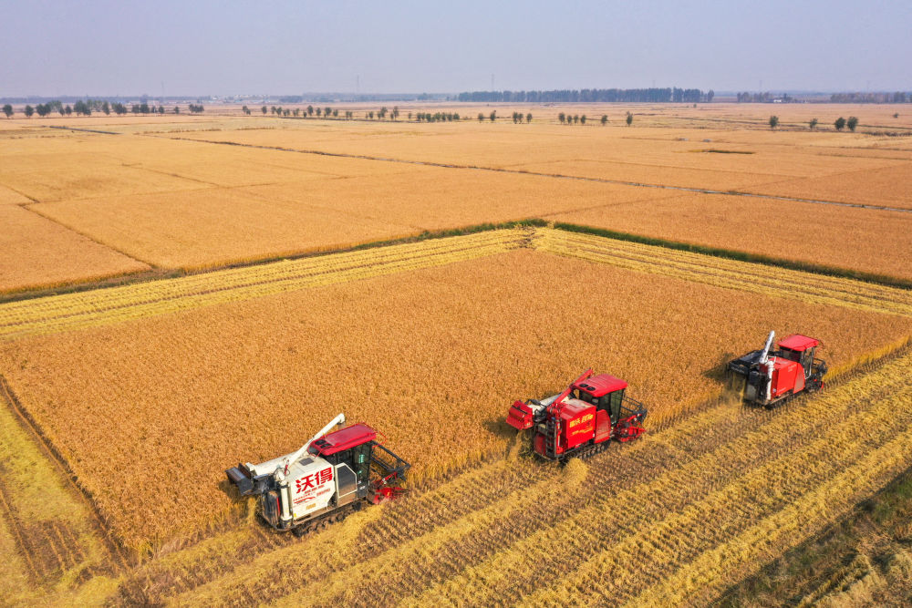 新的开创性进展、突破性变革、历史性成就——“中国经济圆桌会”聚焦我国“十四五”时期经济社会发展 新的开创性进展、突破性变革、历史性成就——“中国经济圆桌会”聚焦我国“十四五”时期经济社会发展