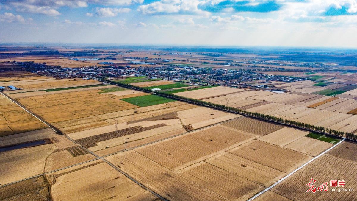 Aerial photos capture Liaoning rural revitalization Aerial photos capture Liaoning rural revitalization