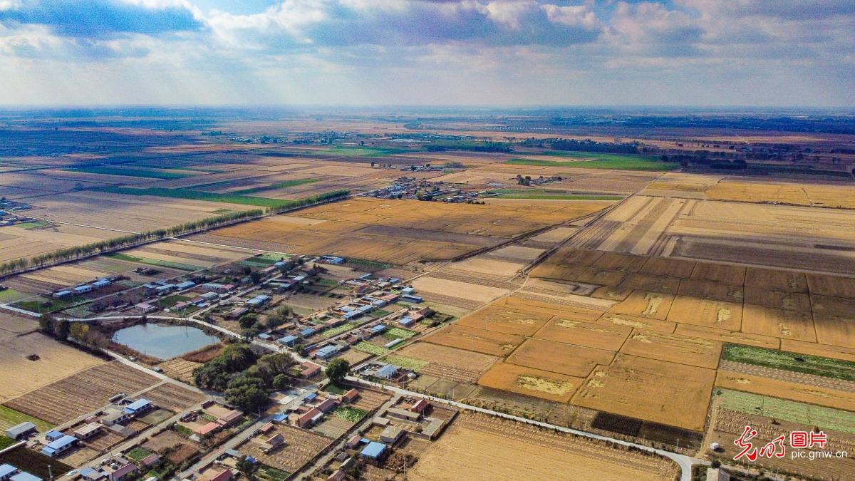 Aerial photos capture Liaoning rural revitalization Aerial photos capture Liaoning rural revitalization