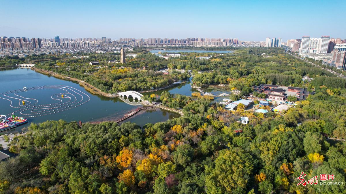 Autumn arrives at lakeside park in NW China's Ningxia