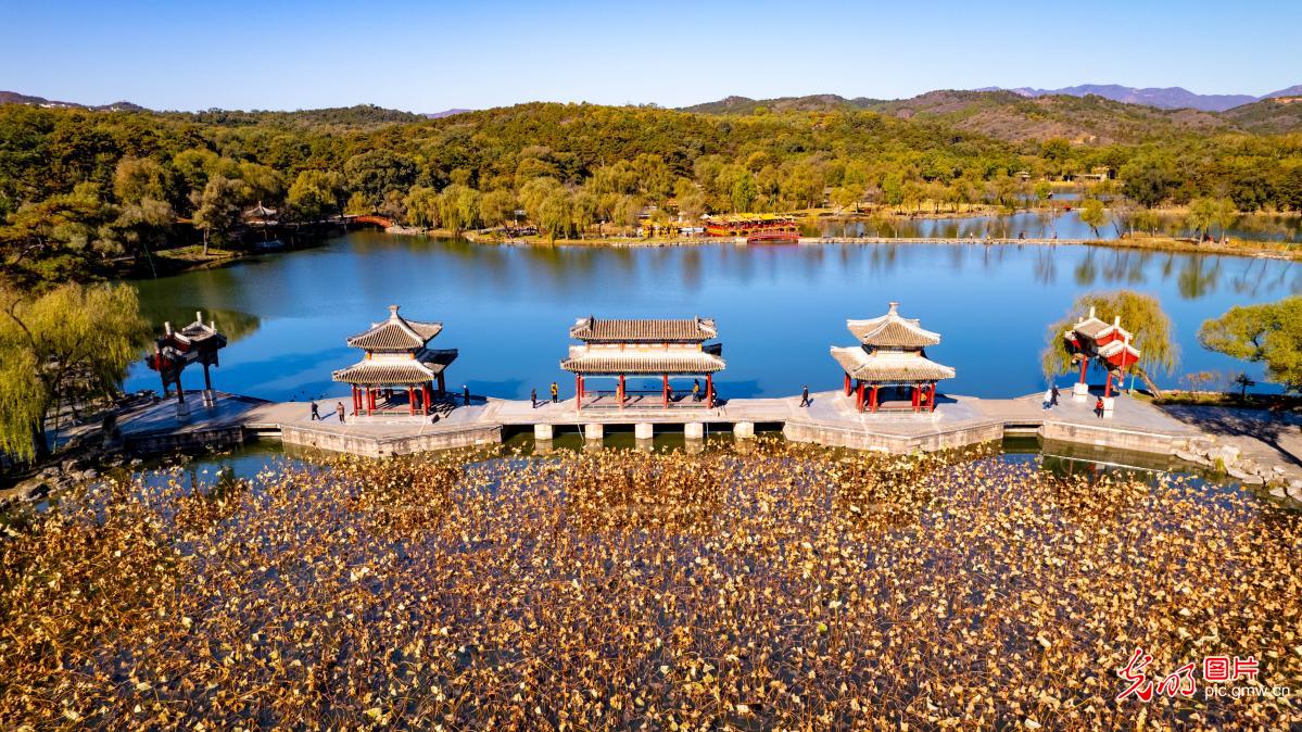 Chengde Mountain Resort embraces autumn charm in NChina's Hebei