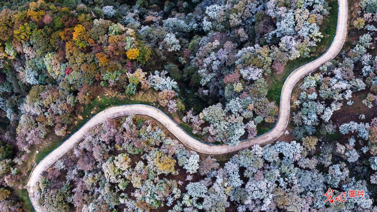 First snow crowns Mount Wangwu in C China's Henan