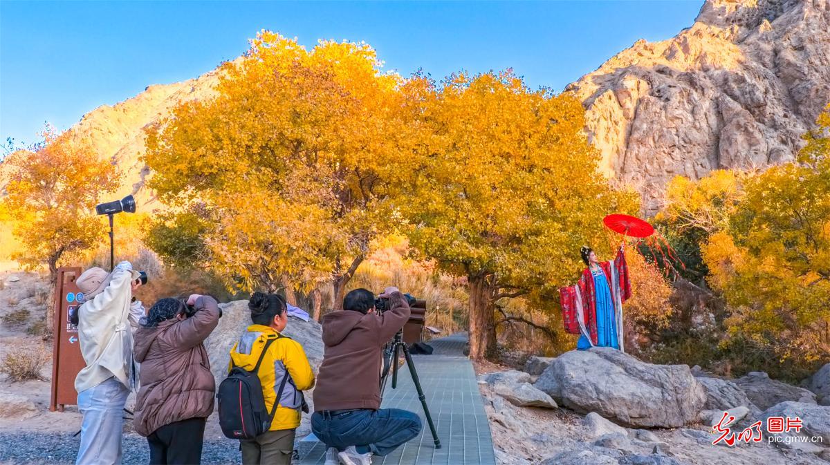 Autumn paints Xuanquan Valley Autumn paints Xuanquan Valley