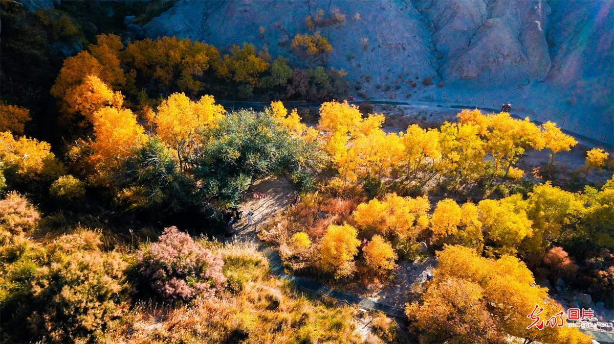 Autumn paints Xuanquan Valley Autumn paints Xuanquan Valley