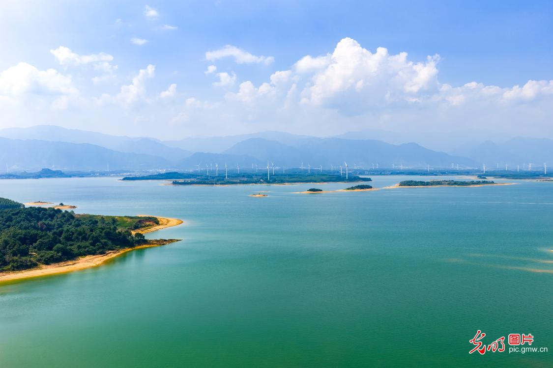 In pics: Guishan Wetland in S China's Guangxi