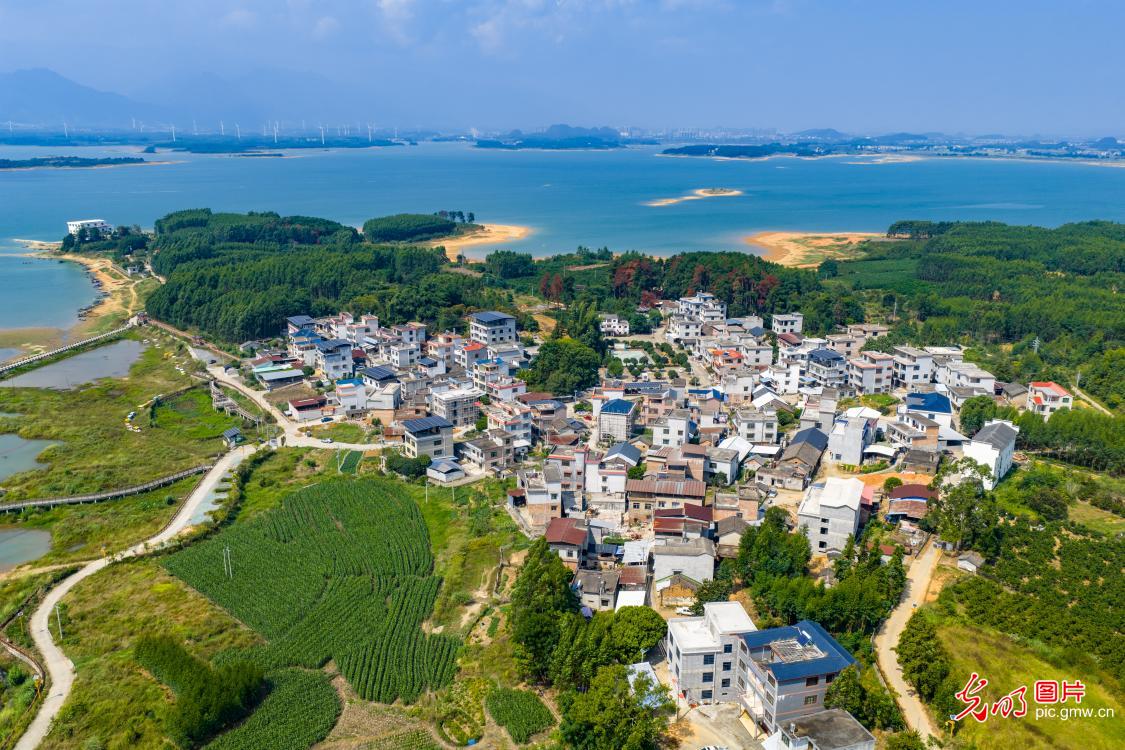 In pics: Guishan Wetland in S China's Guangxi