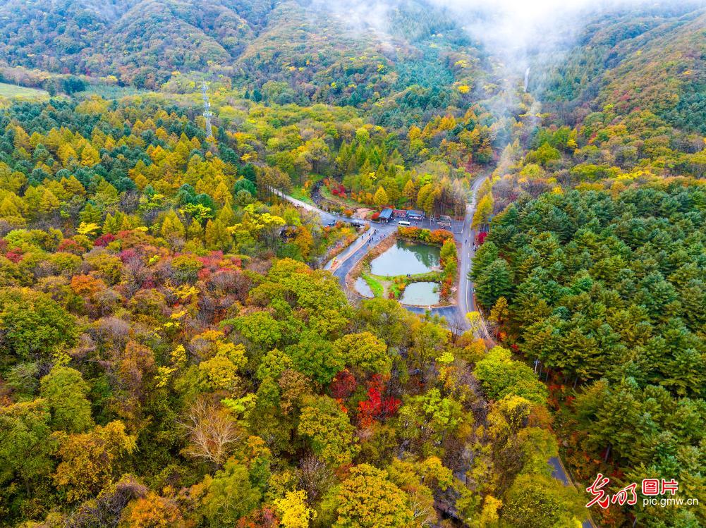 Autumn finery decks national geopark in NE China's Liaoning
