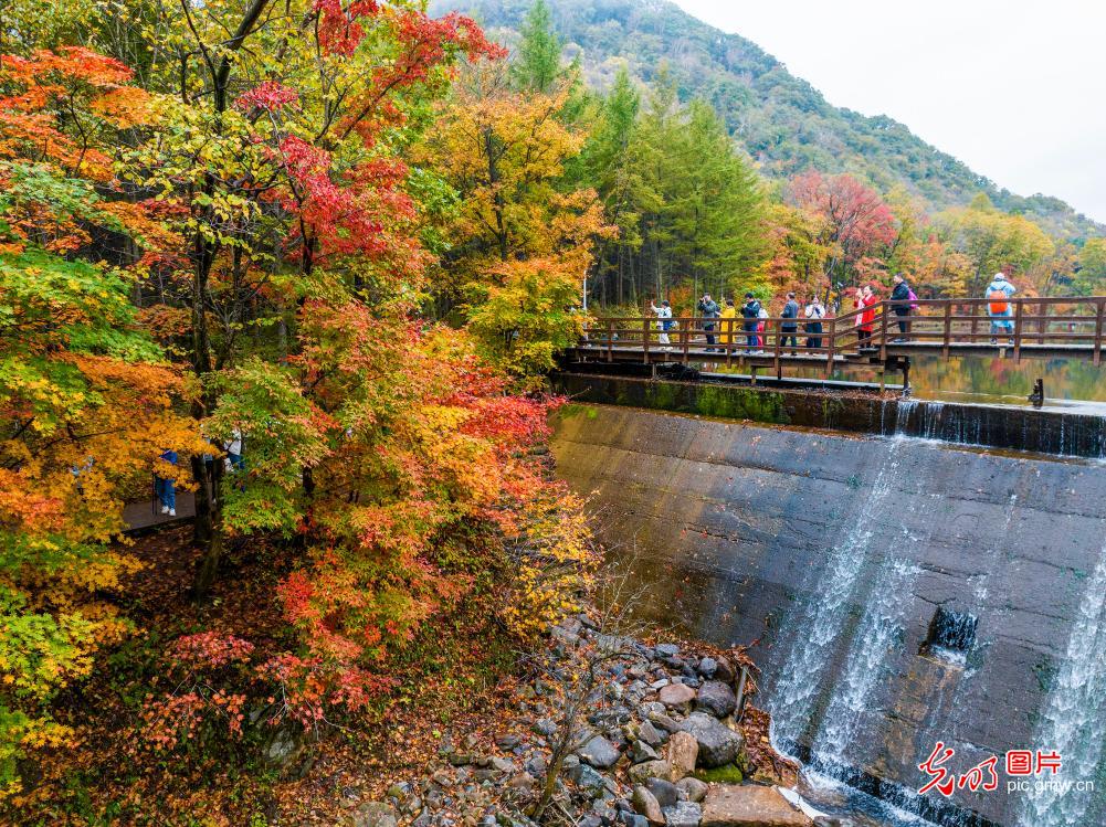 Autumn finery decks national geopark in NE China's Liaoning