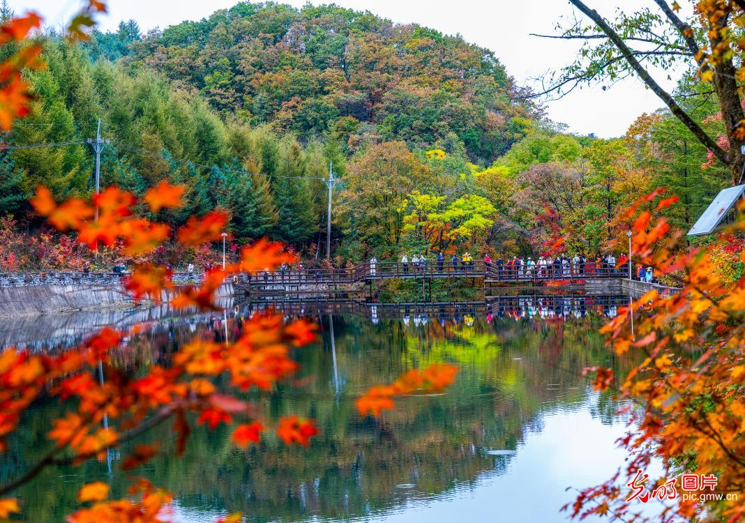 Autumn finery decks national geopark in NE China's Liaoning