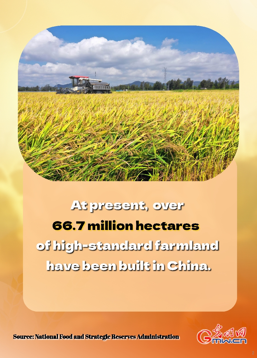 Poster: China contributes to world food security by holding its 'rice bowl' firmly