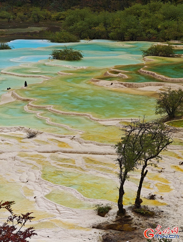 Natural palette of Huanglong Scenic Area in SW China's Sichuan Natural palette of Huanglong Scenic Area in SW China's Sichuan