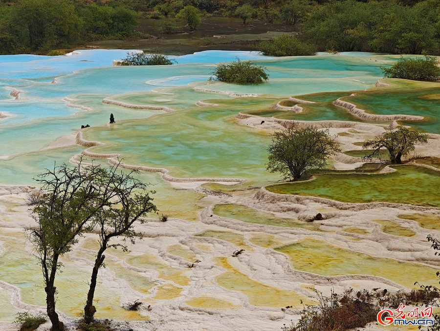 Natural palette of Huanglong Scenic Area in SW China's Sichuan Natural palette of Huanglong Scenic Area in SW China's Sichuan